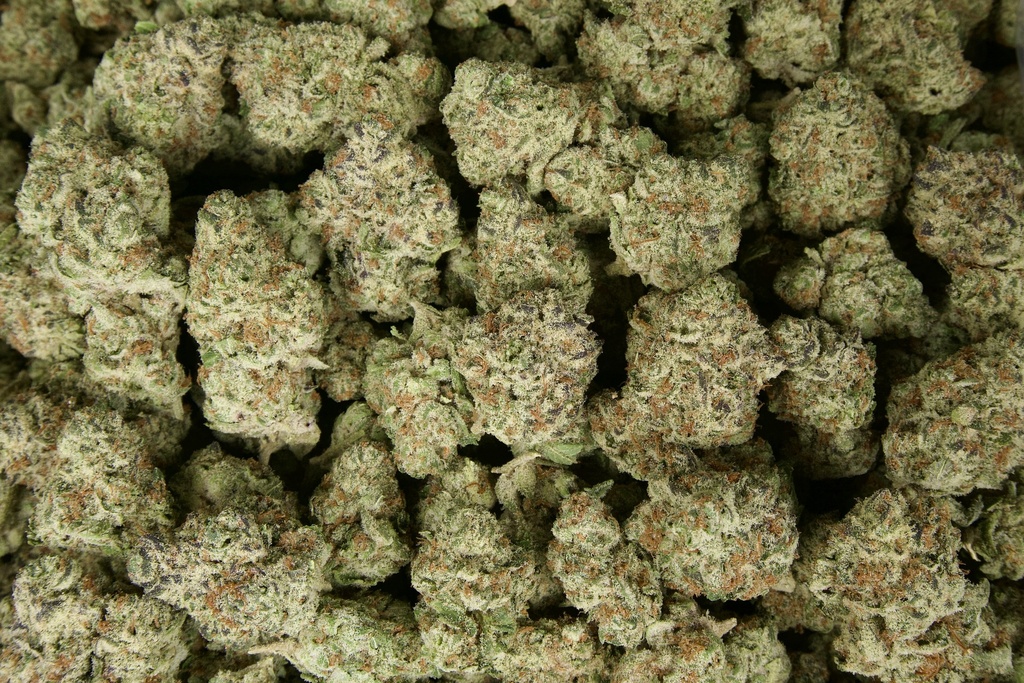 Gorilla Butter Indoor