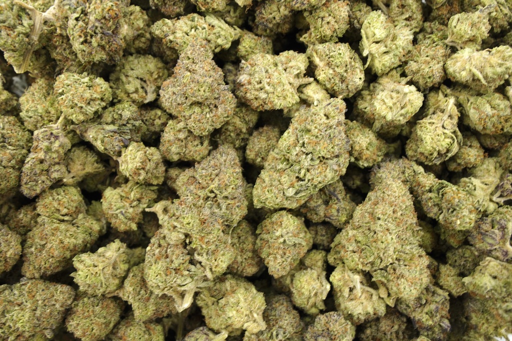 Huckleberry Soda Indoor