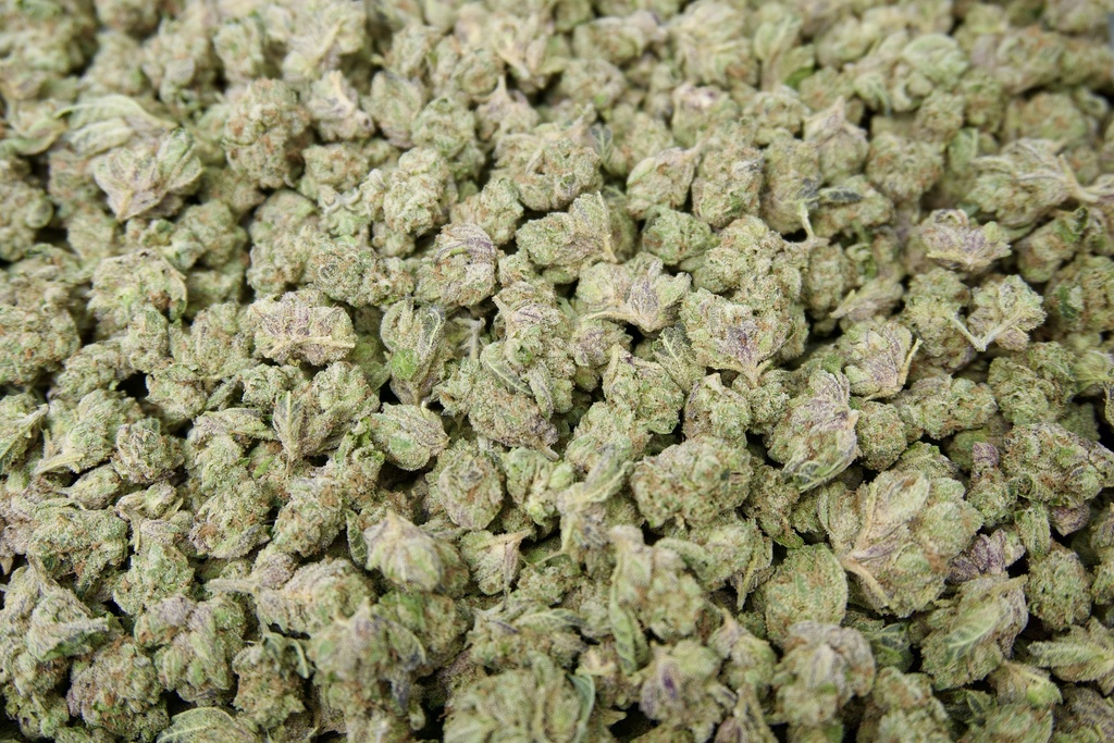 Gelato Indoor Smalls