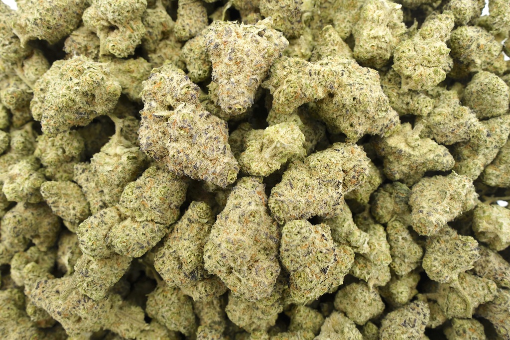 Greasy Pink Indoor