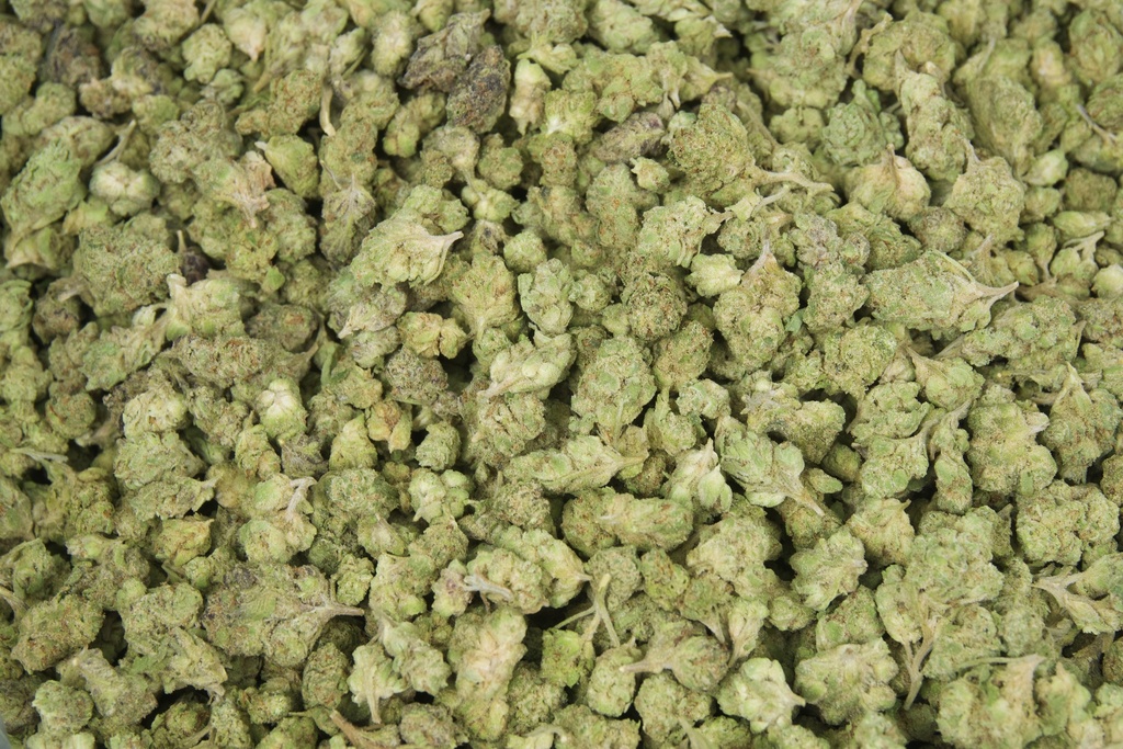 Gelonade Smalls