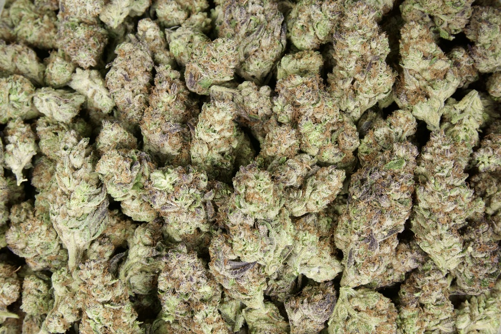 The White Indoor