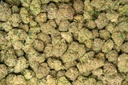 Candy Glue Indoor