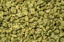 Ghost Train Haze Smalls