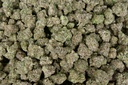 Calfire OG Indoor Mediums