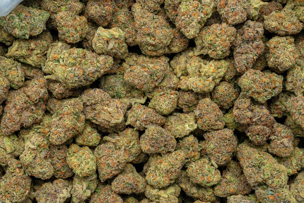 Georgia Pie X Gastro Pop Indoor