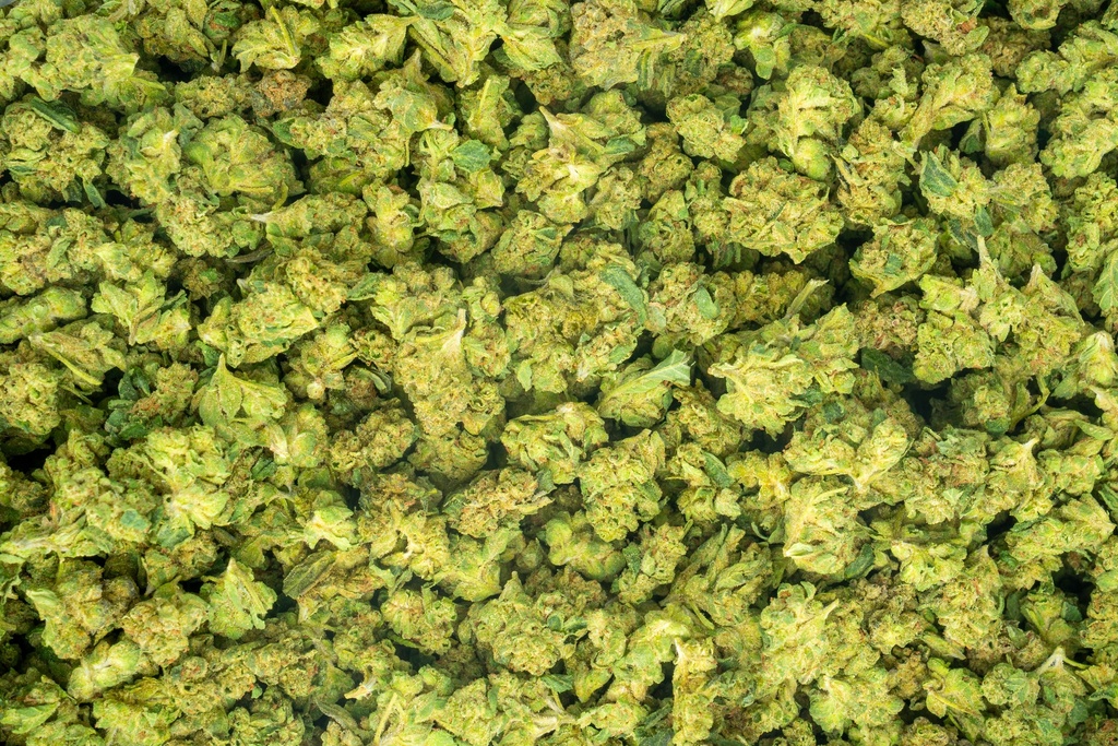 Girl Scout Cookies Smalls
