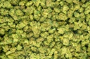 Girl Scout Cookies Smalls