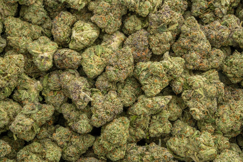 Candyland Indoor