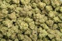Candyland Indoor