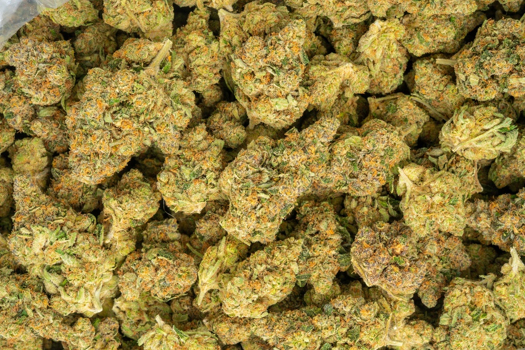 Agent Orange Indoor