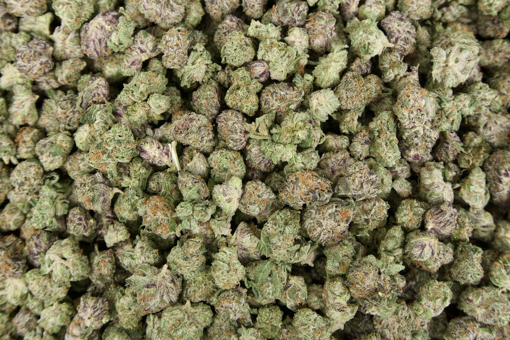 Gmo Cookies Indoor Smalls
