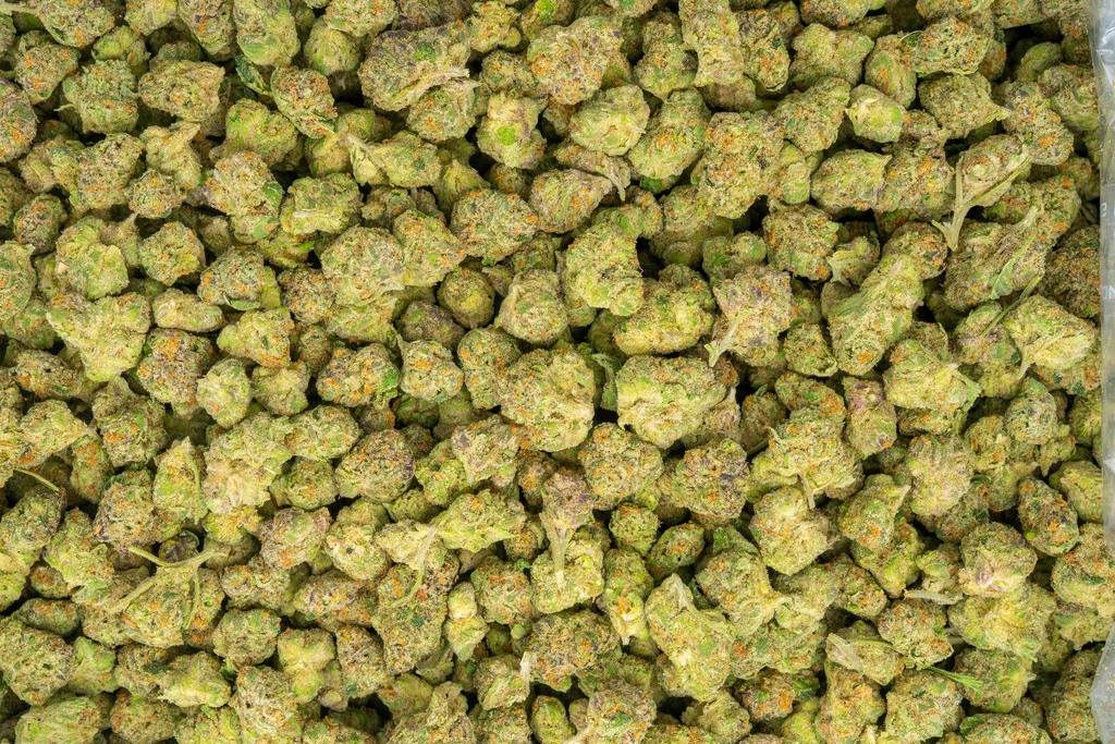 Forbidden Runtz Indoor Smalls