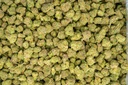 Forbidden Runtz Indoor Smalls