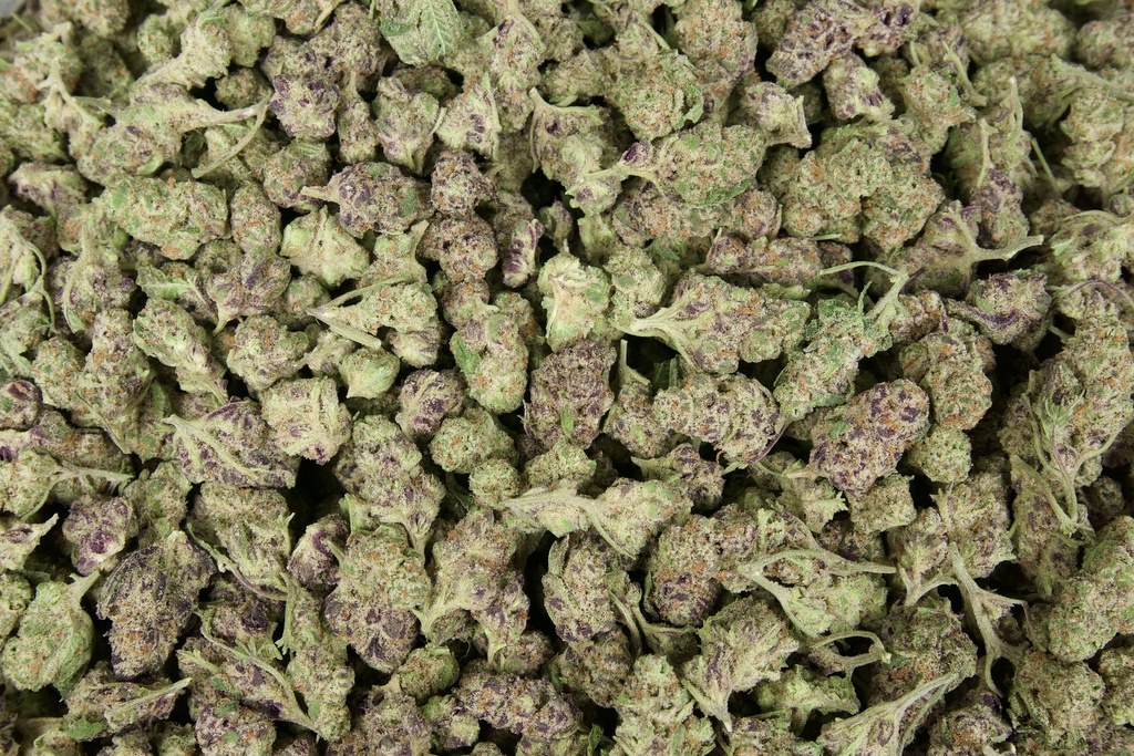 Gushers Smalls