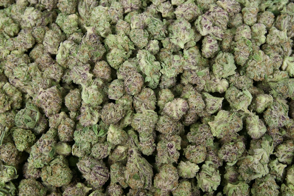 Sharpie Indoor Smalls