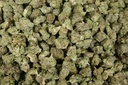 Peanut Butter Breath Mediums