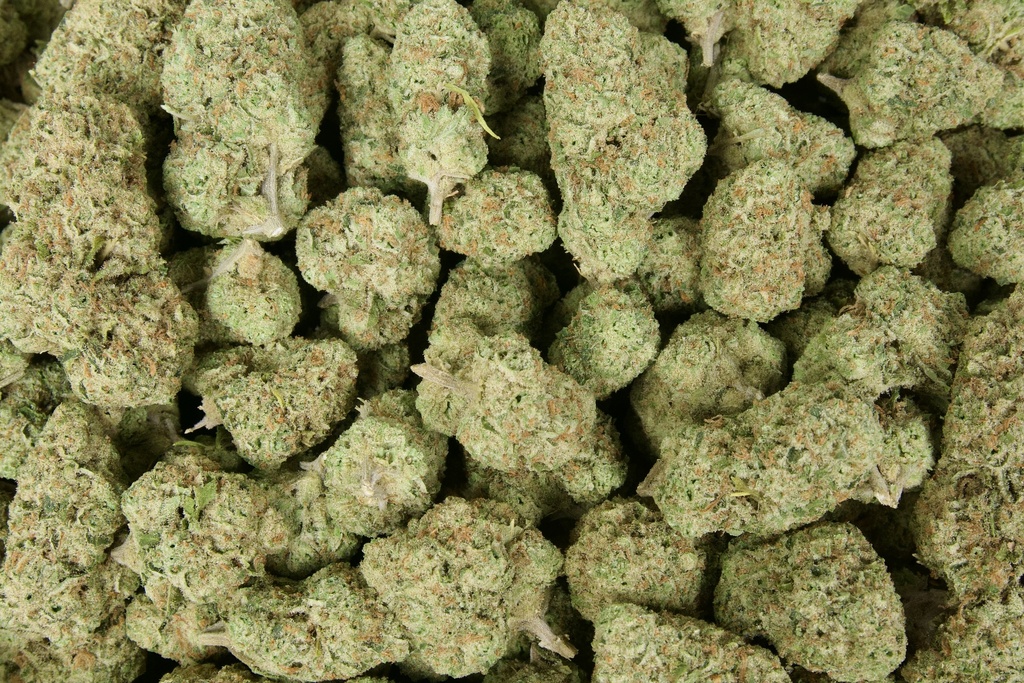 Cookies & Cream Indoor