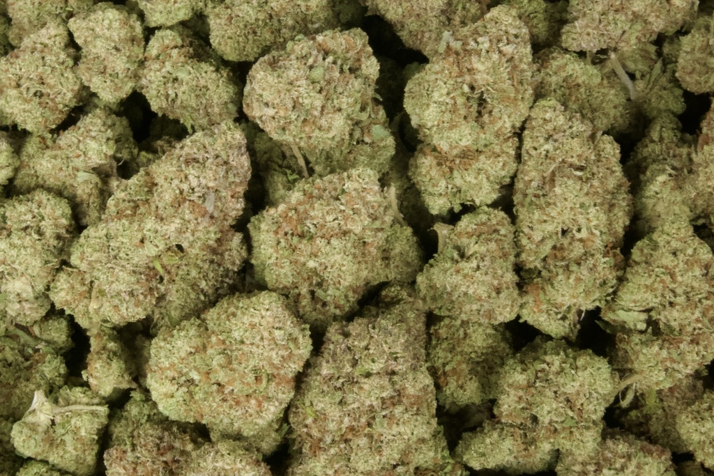 Acai Gelato