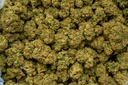Cinderella OG 
