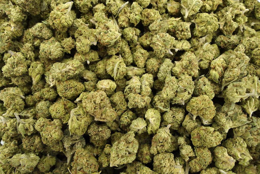 Gelato Mediums