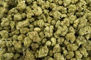 Gelato Mediums