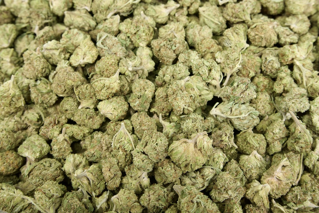 Lemon Cherry Gelato Mediums