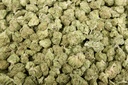 Lemon Cherry Gelato Mediums