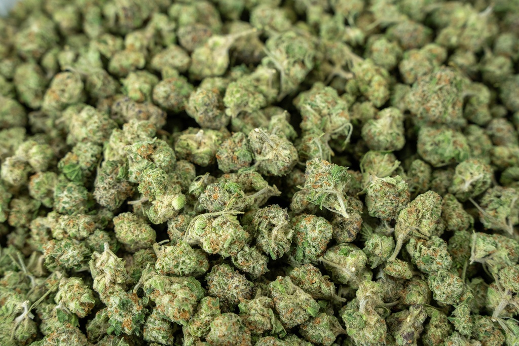 Lemon Bliss Smalls