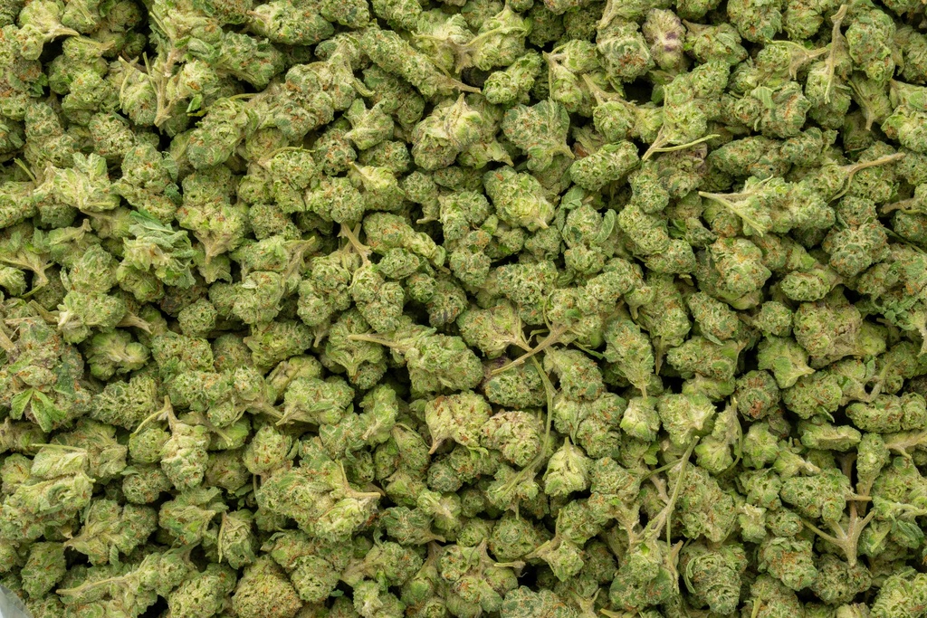 Lemon Cherry Gelato Indoor Smalls