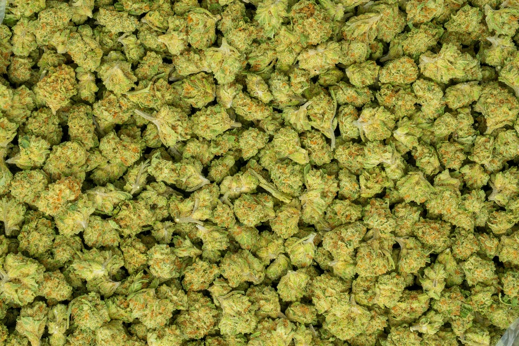Mimosa Smalls