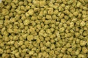 Mimosa Smalls