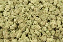 Octane Gas Smalls