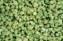 Orange Creamsicle Indoor Smalls