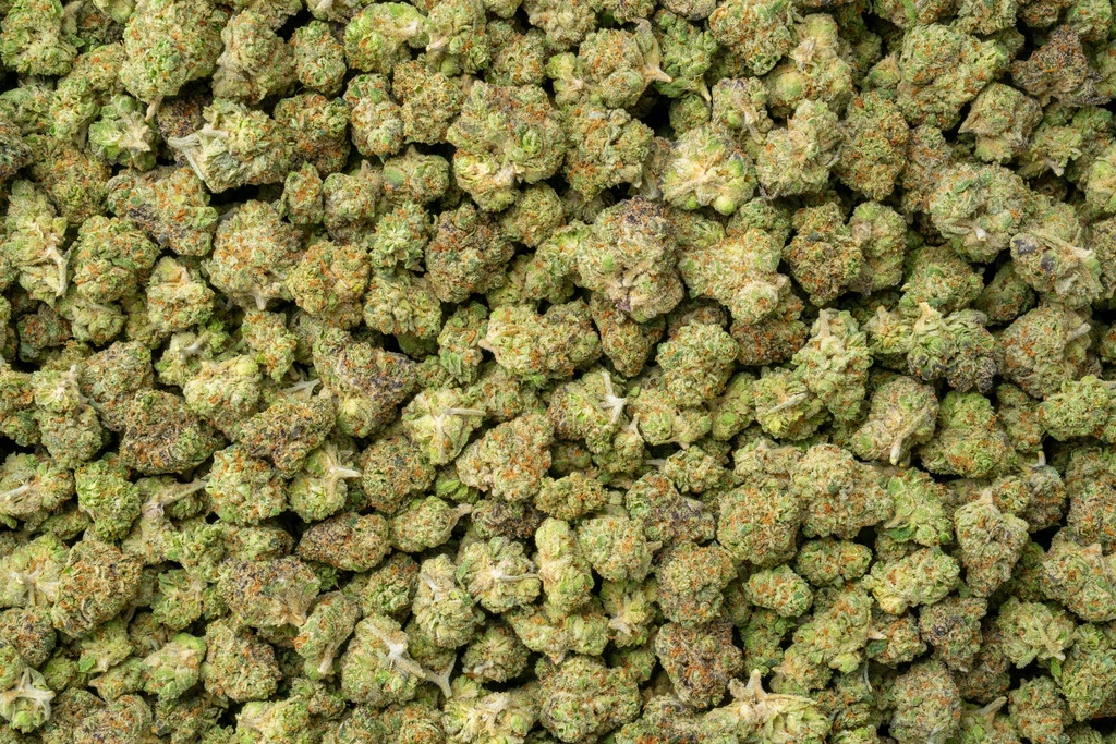 Oreoz Indoor Smalls