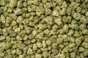 Oreoz Indoor Smalls