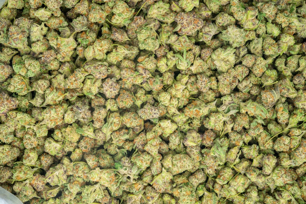 Purple Punch Indoor Smalls