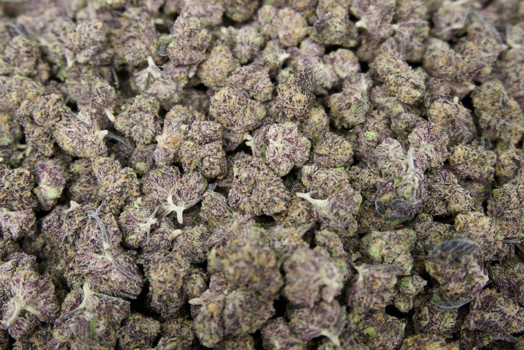 Purple Urkle Indoor Smalls