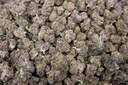 Purple Urkle Indoor Smalls