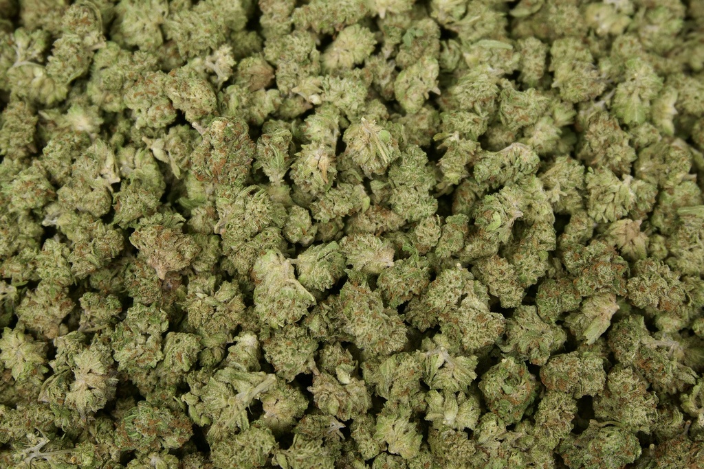 Sherbet Smalls