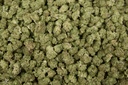 Sherbet Smalls