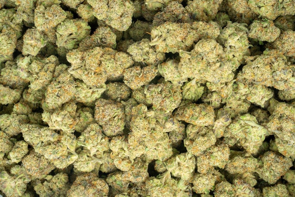Zoap Indoor