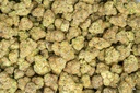 Zoap Indoor
