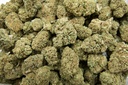 Berry Pie (CBD)