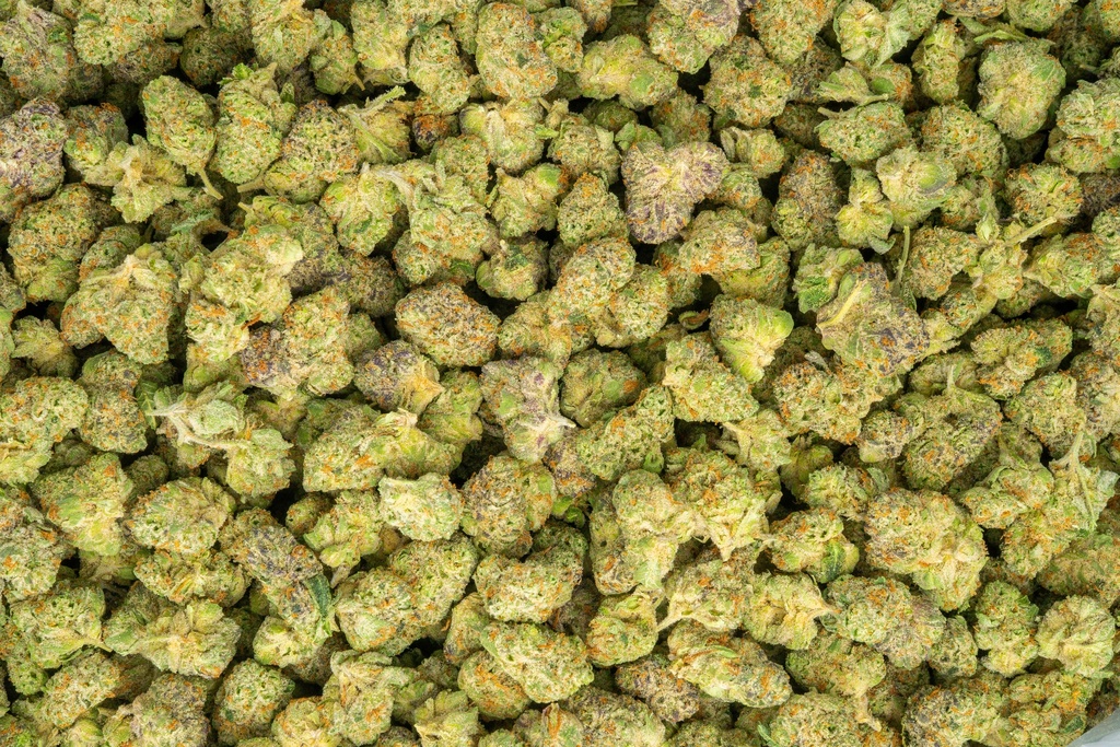 Apple Sherbet Indoor Mediums 