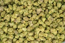 Apple Sherbet Indoor Mediums 