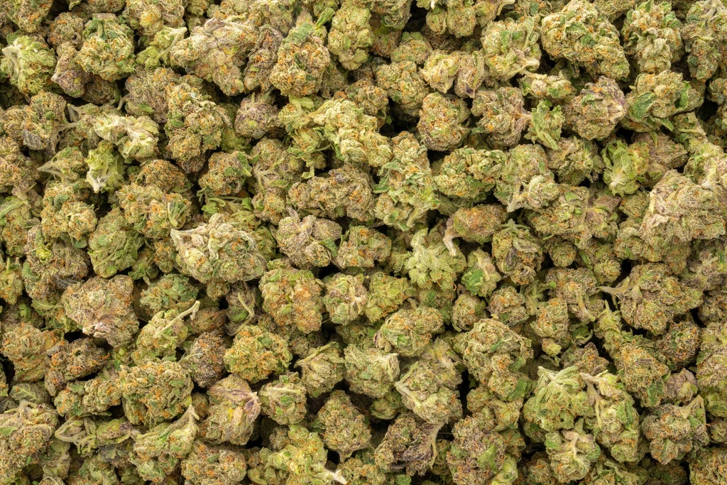 Coco-Lato Indoor Smalls