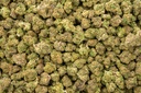 Coco-Lato Indoor Smalls