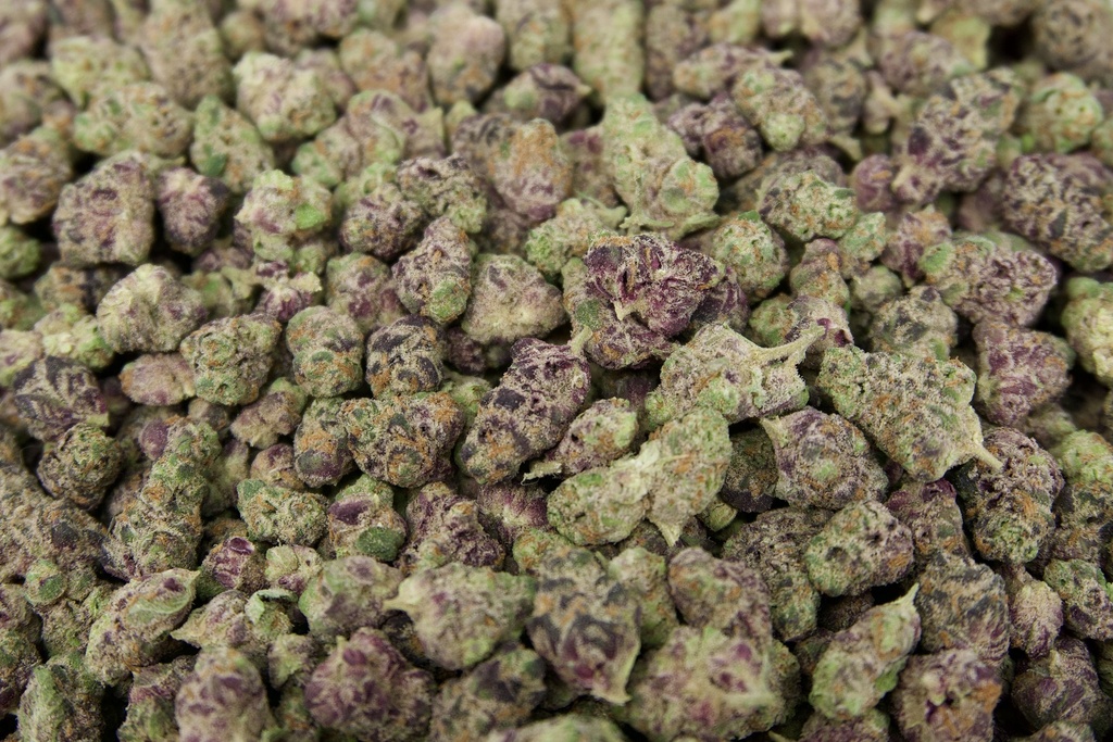 Glitter Bomb Indoor Smalls