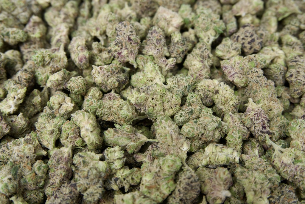 LA Pop Rocks Indoor Mediums
